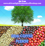 Guji (Yergachafe) Oromo Shoondhisa coffee